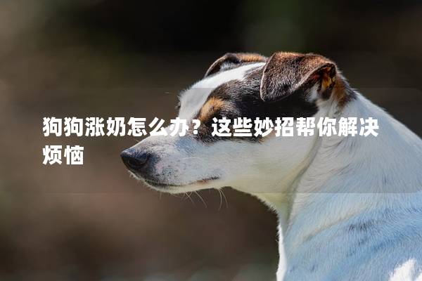 狗狗涨奶怎么办?这些妙招帮你解决烦恼 狗狗涨奶怎么办?这些妙招帮你解决烦恼