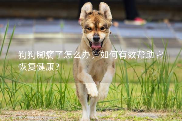 狗狗脚瘸了怎么办，如何有效帮助它恢复健康？