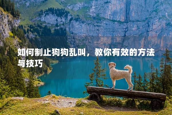如何制止狗狗乱叫，教你有效的方法与技巧