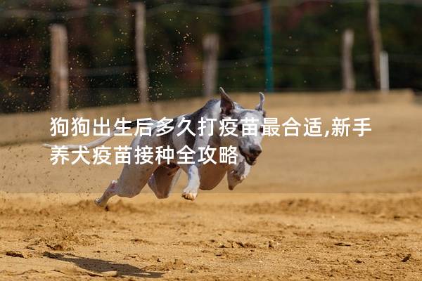 狗狗出生后多久打疫苗最合适,新手养犬疫苗接种全攻略