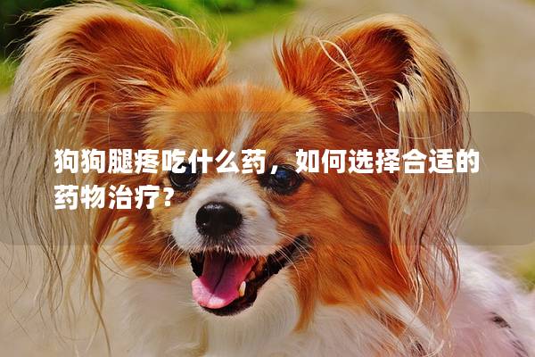 狗狗腿疼吃什么药，如何选择合适的药物治疗？