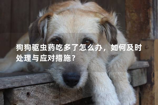 狗狗驱虫药吃多了怎么办，如何及时处理与应对措施？
