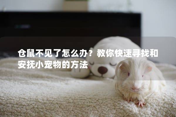 仓鼠不见了怎么办？教你快速寻找和安抚小宠物的方法