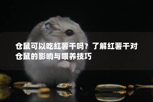 仓鼠可以吃红薯干吗?了解红薯干对仓鼠的影响与喂养技巧 仓鼠可以吃红薯干吗?了解红薯干对仓鼠的影响与喂养技巧
