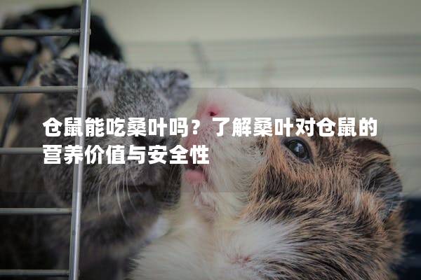仓鼠能吃桑叶吗?了解桑叶对仓鼠的营养价值与安全性 仓鼠能吃桑叶吗?了解桑叶对仓鼠的营养价值与安全性