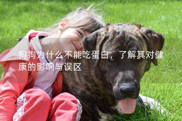 狗狗为什么不能吃蛋白，了解其对健康的影响与误区