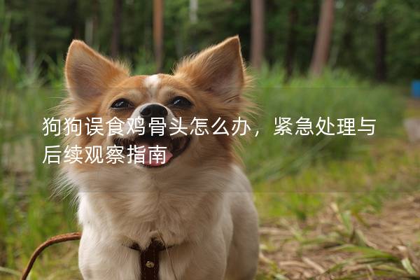 狗狗误食鸡骨头怎么办，紧急处理与后续观察指南