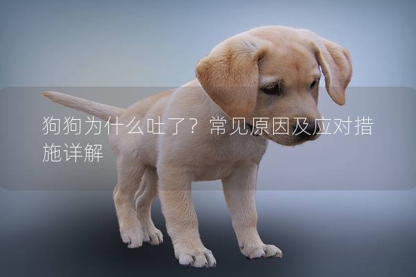 狗狗为什么吐了?常见原因及应对措施详解 狗狗为什么吐了?常见原因及应对措施详解