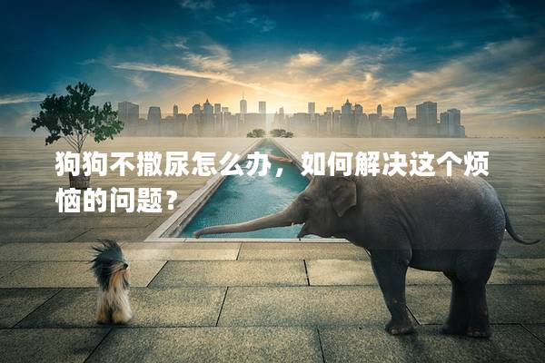 狗狗不撒尿怎么办，如何解决这个烦恼的问题？