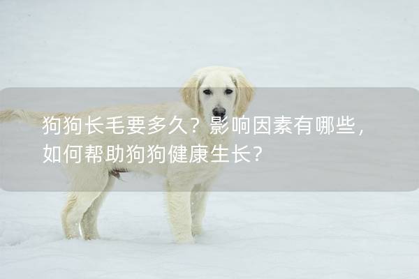 狗狗长毛要多久?影响因素有哪些,如何帮助狗狗健康生长? 狗狗长毛要多久?影响因素有哪些,如何帮助狗狗健康生长?