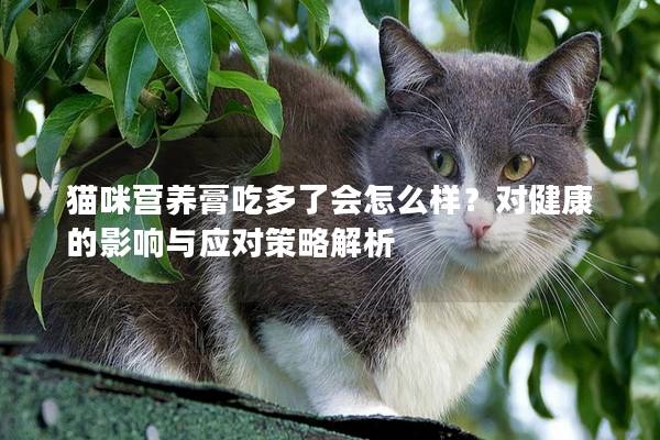猫咪营养膏吃多了会怎么样？对健康的影响与应对策略解析