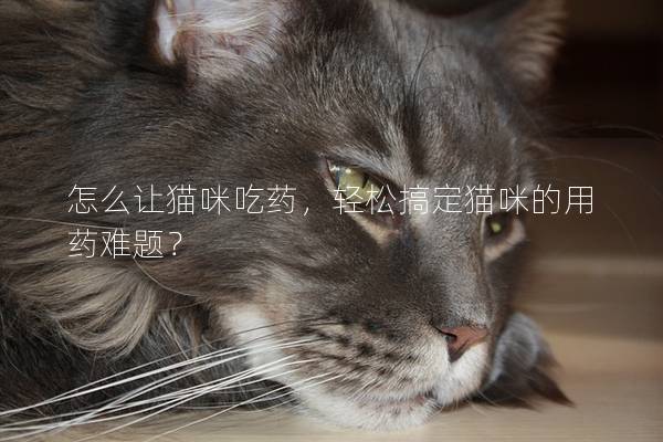 怎么让猫咪吃药，轻松搞定猫咪的用药难题？