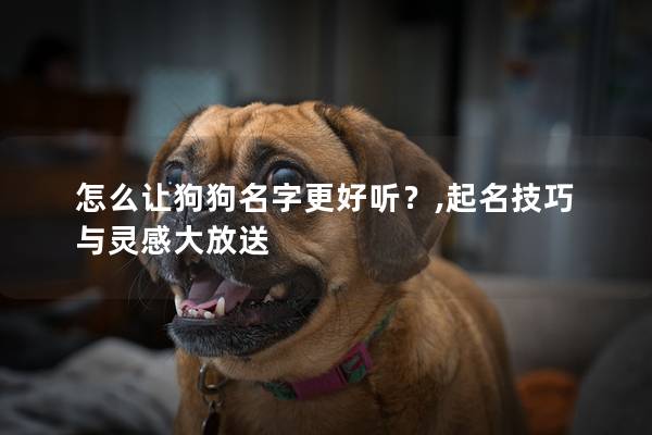 怎么让狗狗名字更好听？,起名技巧与灵感大放送