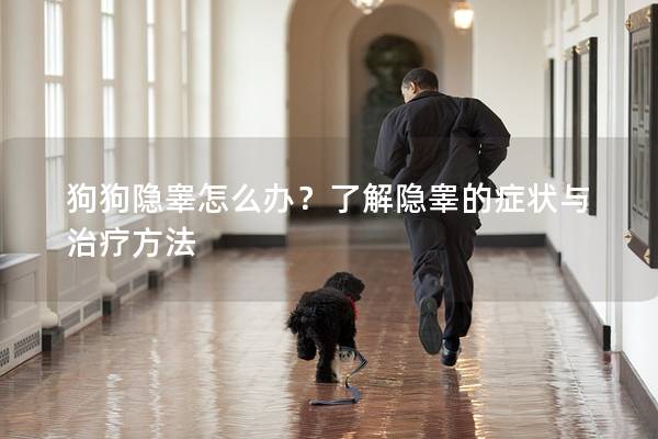 狗狗隐睾怎么办？了解隐睾的症状与治疗方法