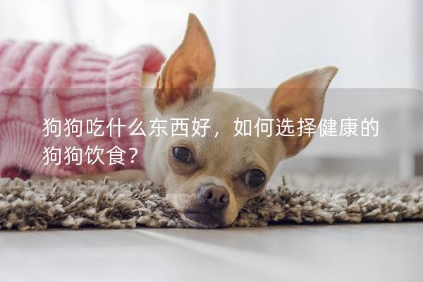 狗狗吃什么东西好，如何选择健康的狗狗饮食？