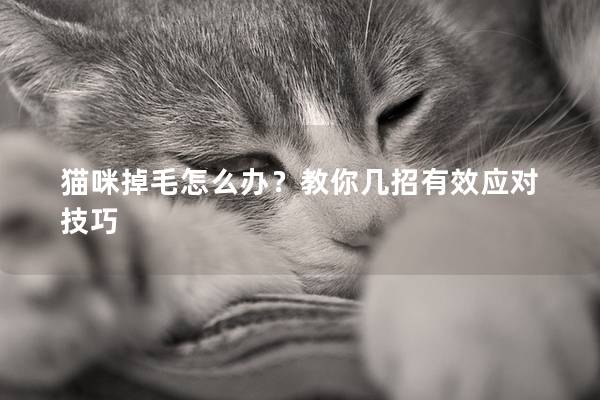 猫咪掉毛怎么办？教你几招有效应对技巧