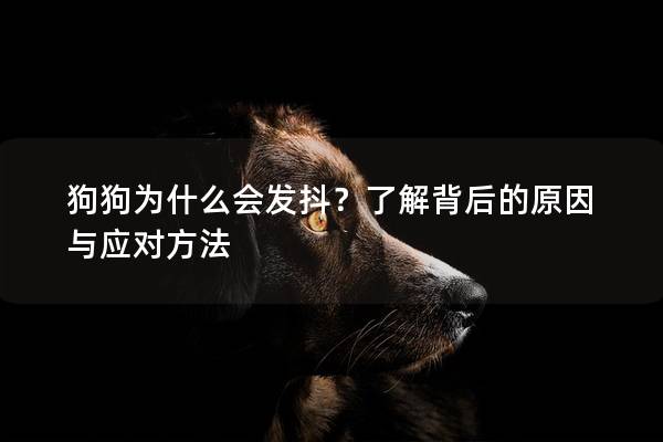 狗狗为什么会发抖？了解背后的原因与应对方法