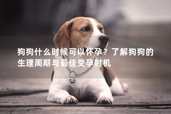 狗狗什么时候可以怀孕？了解狗狗的生理周期与最佳受孕时机