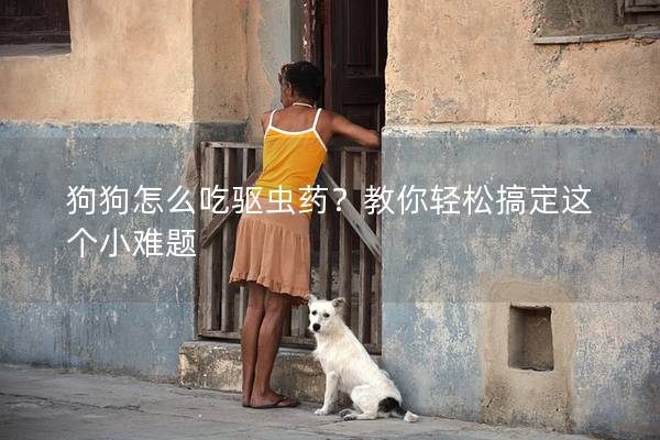 狗狗怎么吃驱虫药？教你轻松搞定这个小难题
