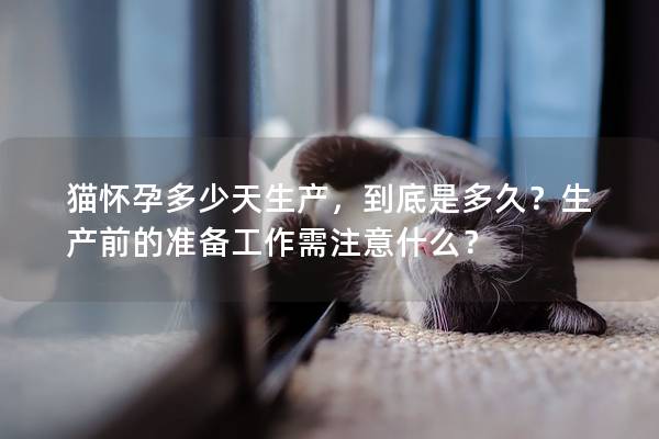 猫怀孕多少天生产,到底是多久?生产前的准备工作需注意什么? 猫怀孕多少天生产,到底是多久?生产前的准备工作需注意什么?