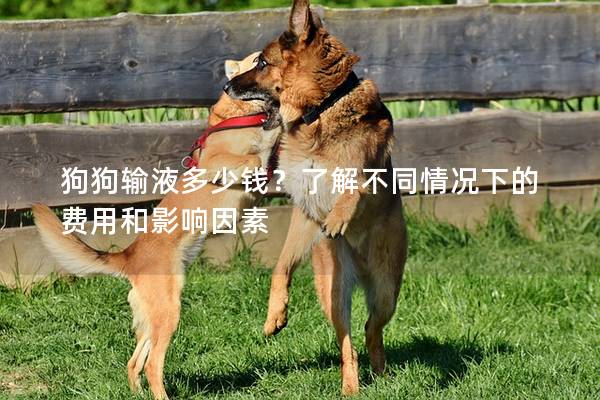 狗狗输液多少钱？了解不同情况下的费用和影响因素