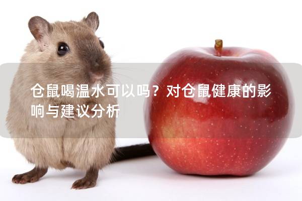 仓鼠喝温水可以吗？对仓鼠健康的影响与建议分析