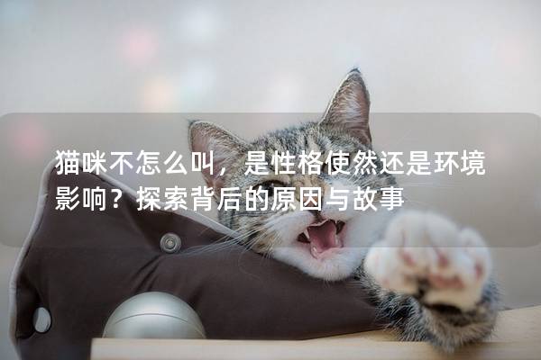 猫咪不怎么叫,是性格使然还是环境影响?探索背后的原因与故事 猫咪不怎么叫,是性格使然还是环境影响?探索背后的原因与故事