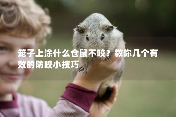 笼子上涂什么仓鼠不咬？教你几个有效的防咬小技巧