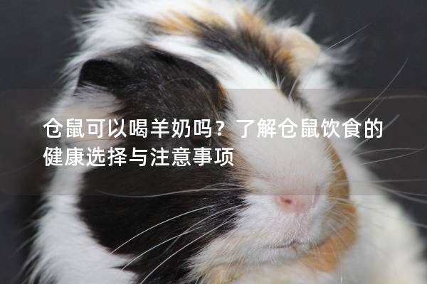 仓鼠可以喝羊奶吗?了解仓鼠饮食的健康选择与注意事项 仓鼠可以喝羊奶吗?了解仓鼠饮食的健康选择与注意事项
