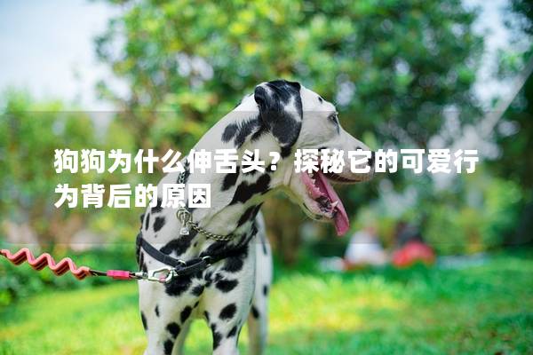 狗狗为什么伸舌头？探秘它的可爱行为背后的原因