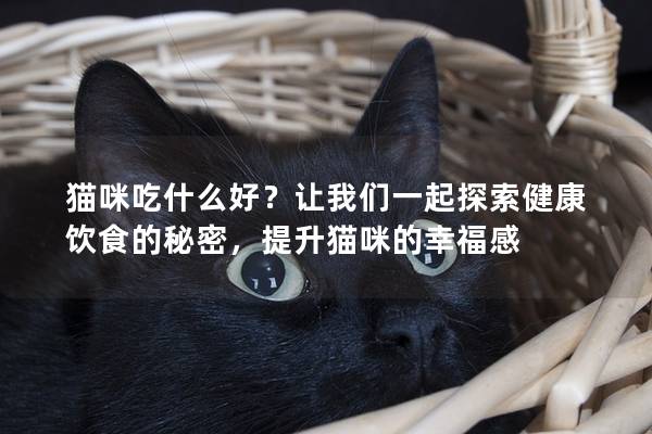 猫咪吃什么好？让我们一起探索健康饮食的秘密，提升猫咪的幸福感