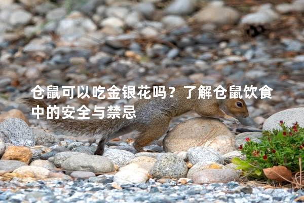 仓鼠可以吃金银花吗？了解仓鼠饮食中的安全与禁忌