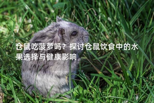 仓鼠吃菠萝吗？探讨仓鼠饮食中的水果选择与健康影响