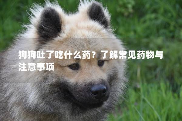 狗狗吐了吃什么药?了解常见药物与注意事项 狗狗吐了吃什么药?了解常见药物与注意事项