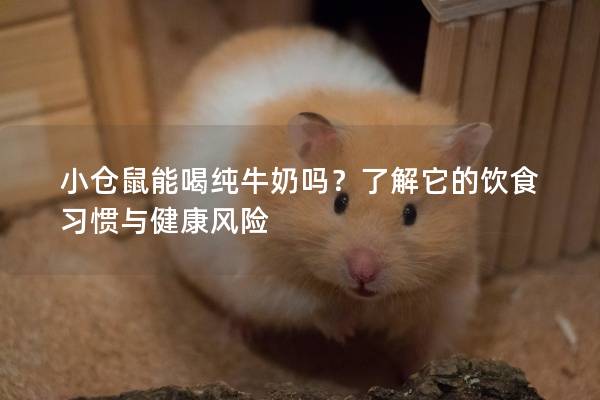小仓鼠能喝纯牛奶吗？了解它的饮食习惯与健康风险