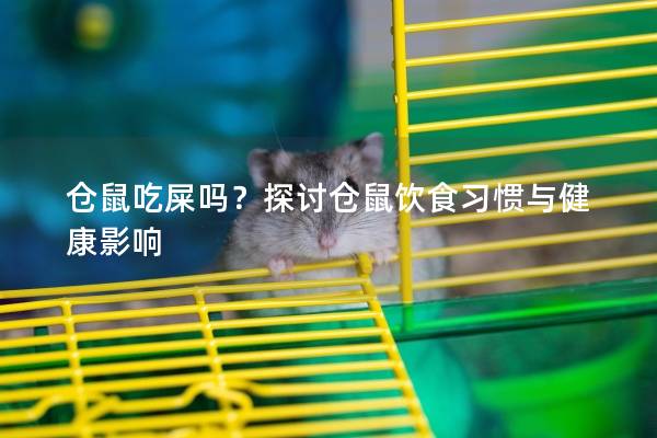 仓鼠吃屎吗？探讨仓鼠饮食习惯与健康影响
