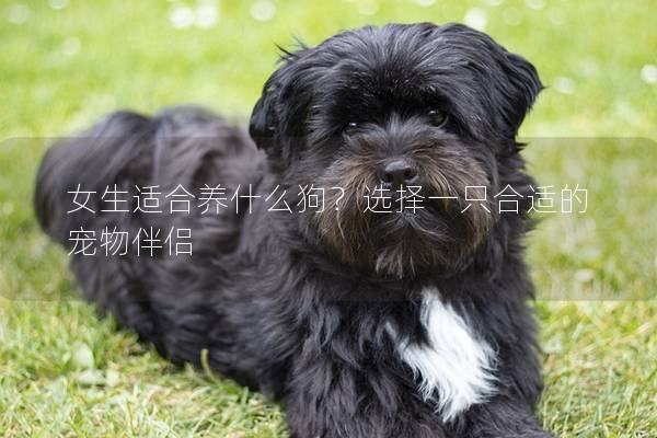 女生适合养什么狗?选择一只合适的宠物伴侣 女生适合养什么狗?选择一只合适的宠物伴侣