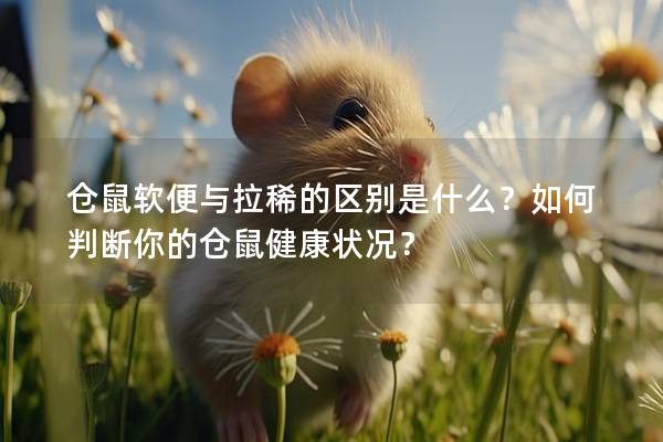 仓鼠软便与拉稀的区别是什么？如何判断你的仓鼠健康状况？