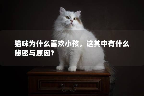 猫咪为什么喜欢小孩，这其中有什么秘密与原因？