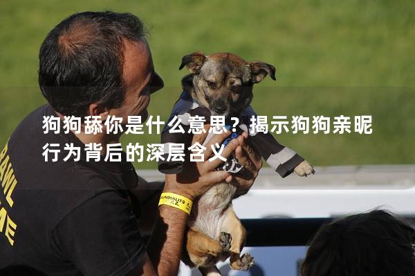 狗狗舔你是什么意思？揭示狗狗亲昵行为背后的深层含义