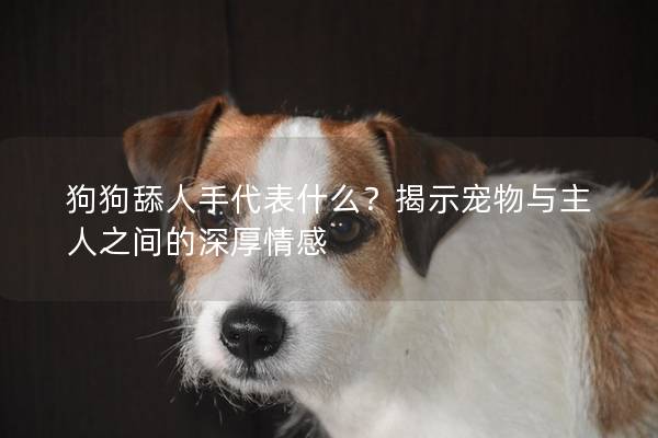 狗狗舔人手代表什么？揭示宠物与主人之间的深厚情感