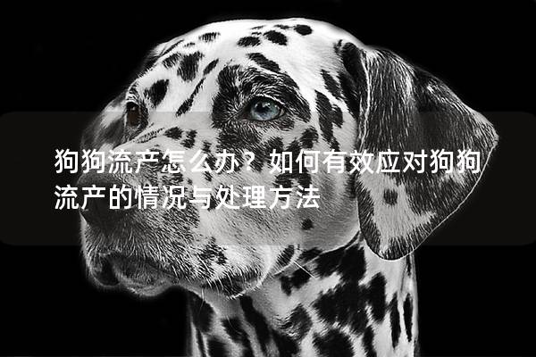 狗狗流产怎么办？如何有效应对狗狗流产的情况与处理方法