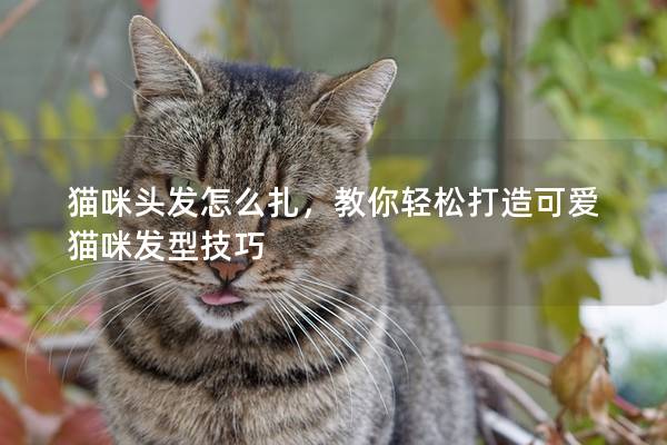 猫咪头发怎么扎,教你轻松打造可爱猫咪发型技巧 猫咪头发怎么扎,教你轻松打造可爱猫咪发型技巧