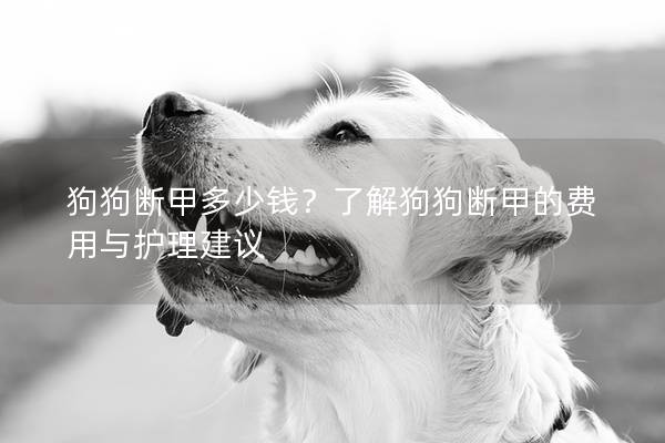 狗狗断甲多少钱？了解狗狗断甲的费用与护理建议