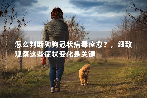 怎么判断狗狗冠状病毒痊愈？，细致观察这些症状变化是关键