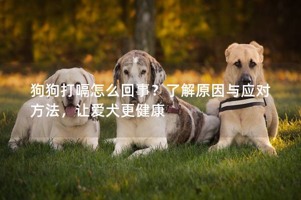 狗狗打嗝怎么回事？了解原因与应对方法，让爱犬更健康
