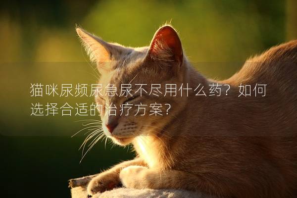 猫咪尿频尿急尿不尽用什么药？如何选择合适的治疗方案？