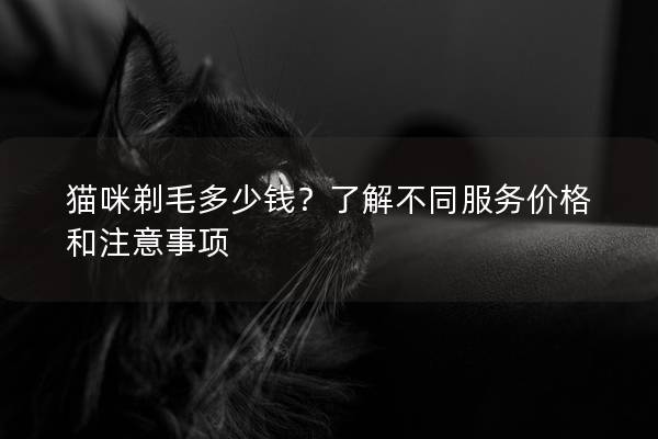 猫咪剃毛多少钱？了解不同服务价格和注意事项