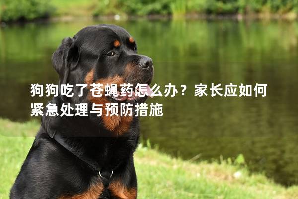 狗狗吃了苍蝇药怎么办？家长应如何紧急处理与预防措施