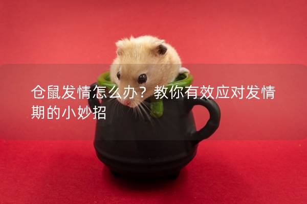 仓鼠发情怎么办？教你有效应对发情期的小妙招